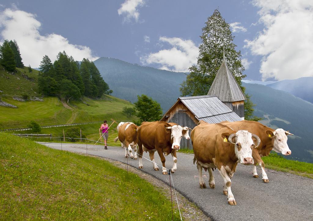 Schrunerhof Ebene Reichenau Phòng bức ảnh
