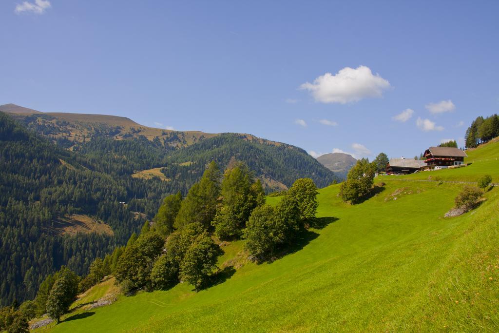 Schrunerhof Ebene Reichenau Phòng bức ảnh